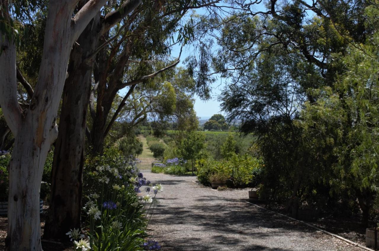 Bed and Breakfast The Farm Willunga Экстерьер фото