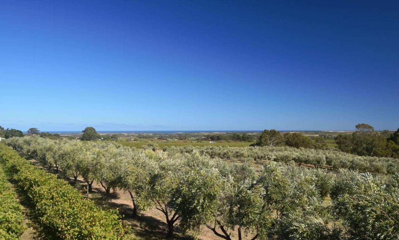 Bed and Breakfast The Farm Willunga Экстерьер фото