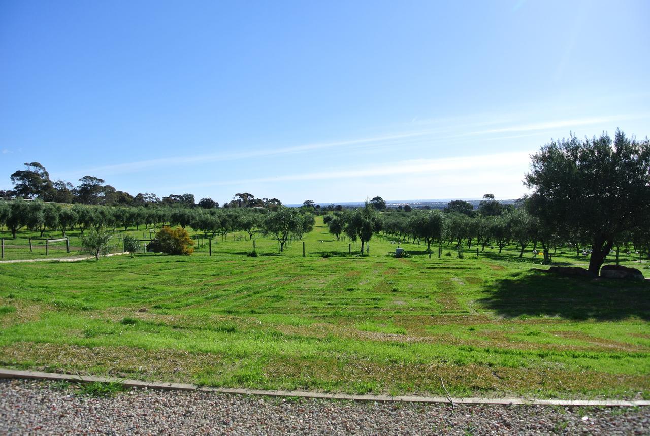 Bed and Breakfast The Farm Willunga Экстерьер фото