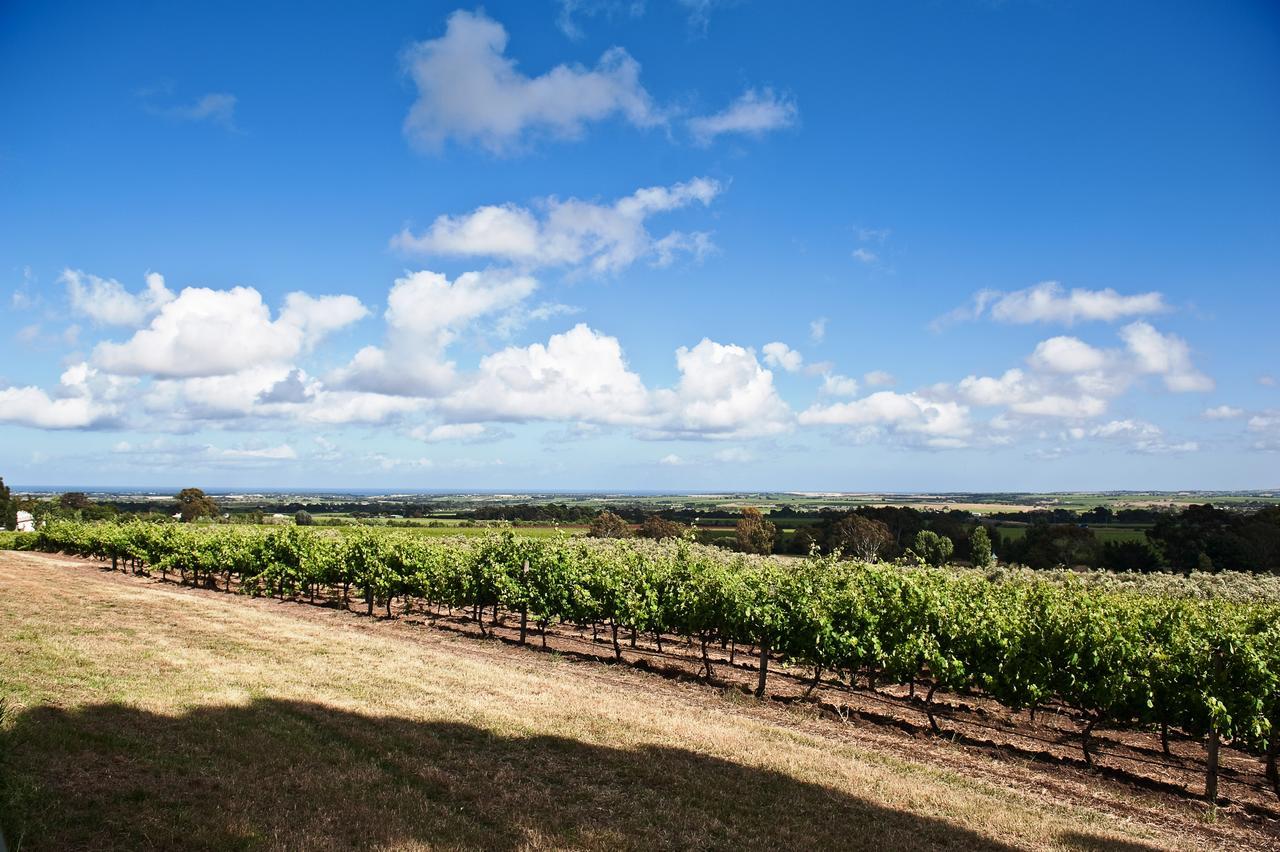 Bed and Breakfast The Farm Willunga Экстерьер фото